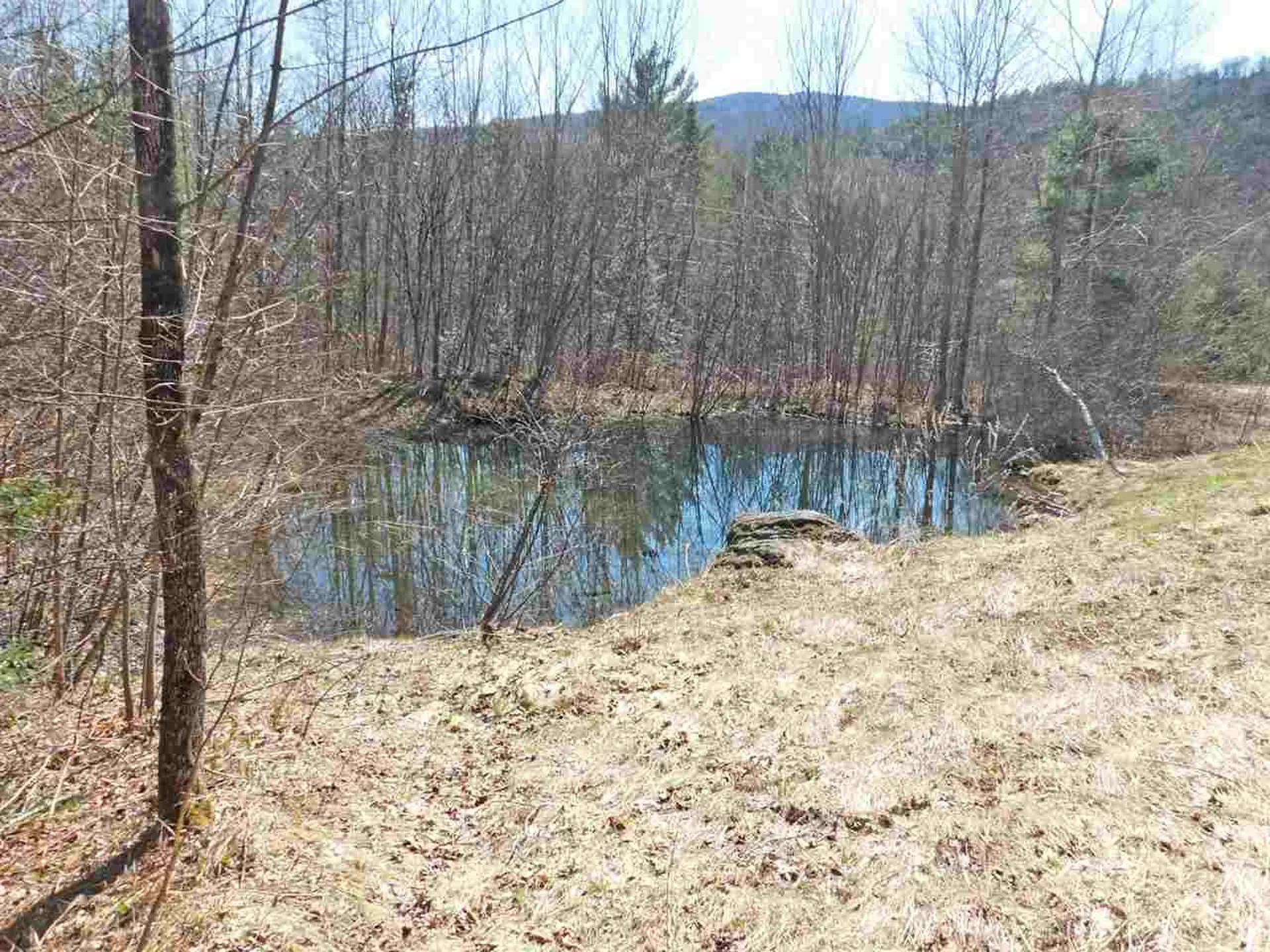 95 Harpers Way Drive Granville VT 05747