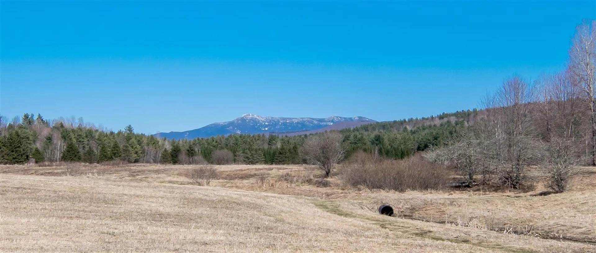 149 Skunk Hollow Road Jericho VT 05465