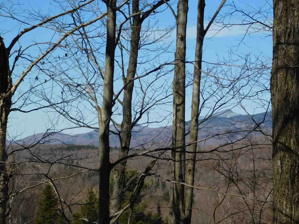 149 Fat Mountain Drive Starksboro VT 05487