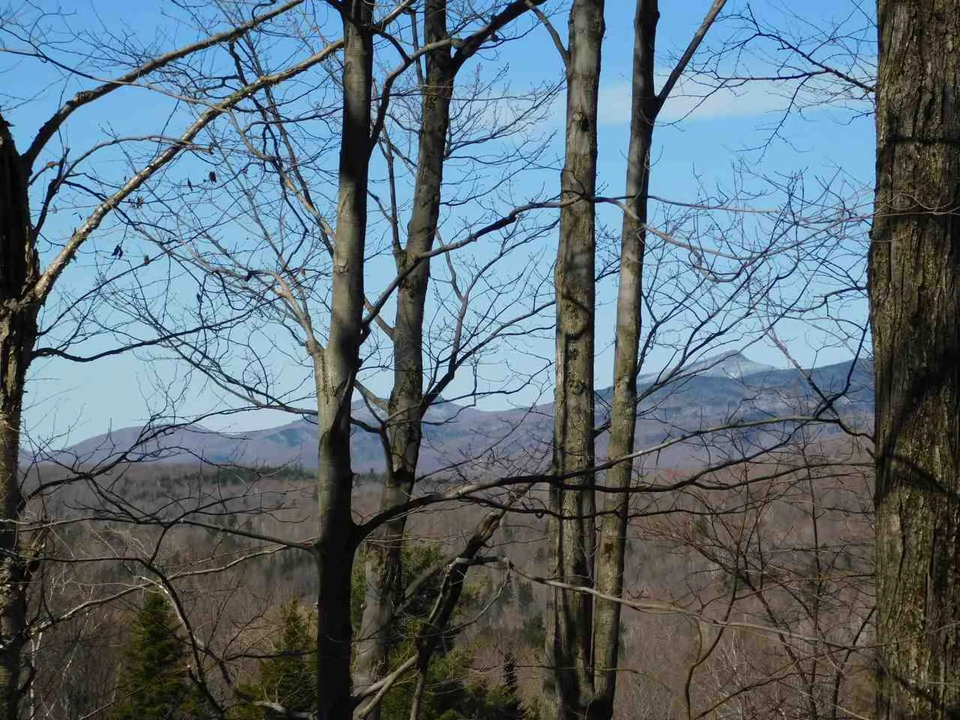149 Fat Mountain Drive Starksboro VT 05487