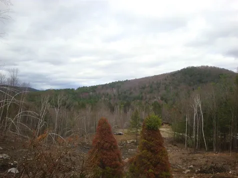 16 Evergreen Lane Hill NH 03243