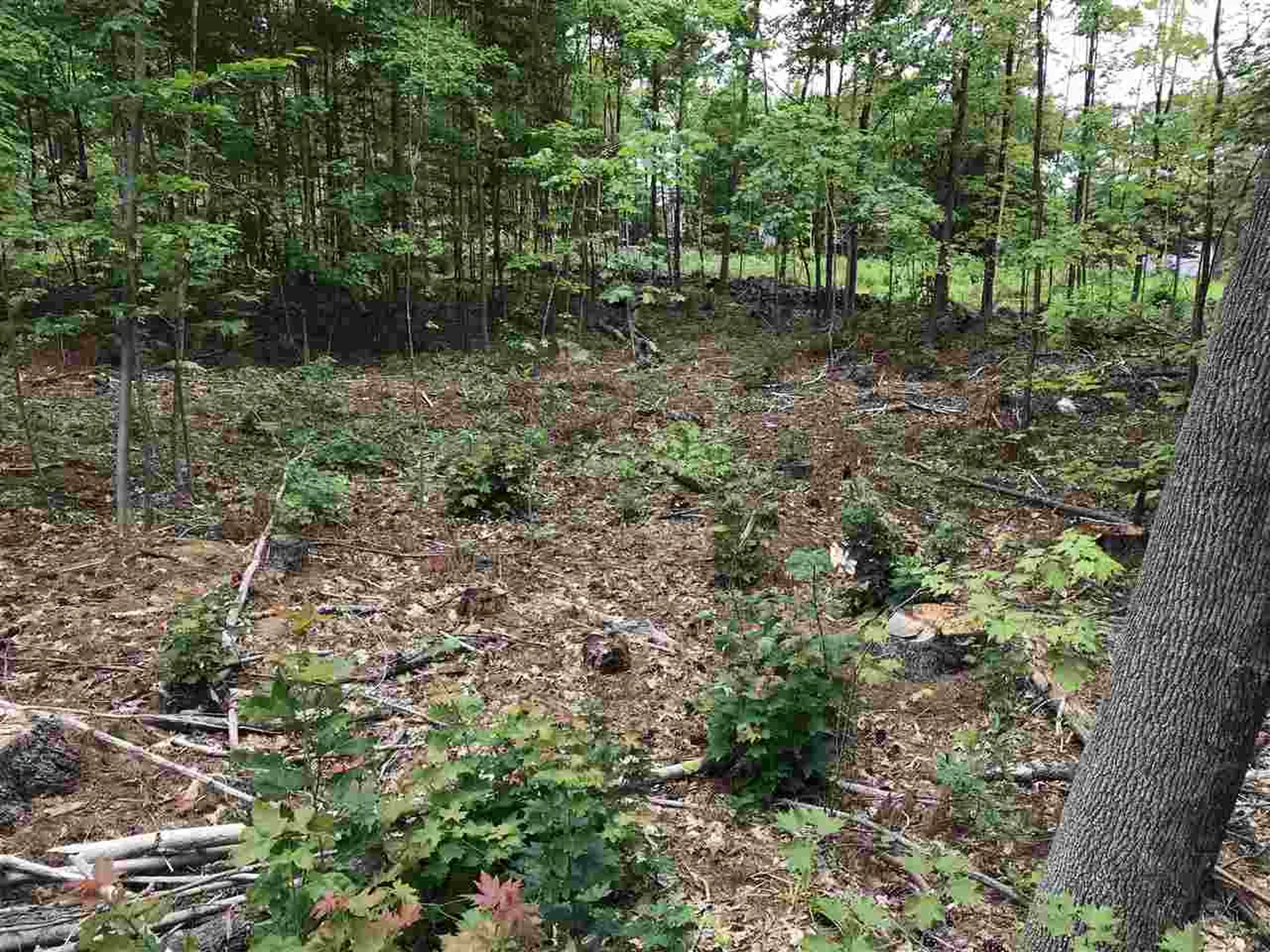 6-6 Plummer Hill Road Belmont NH 03220