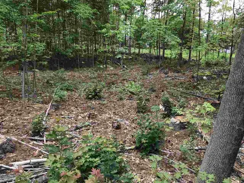 6-6 Plummer Hill Road Belmont NH 03220