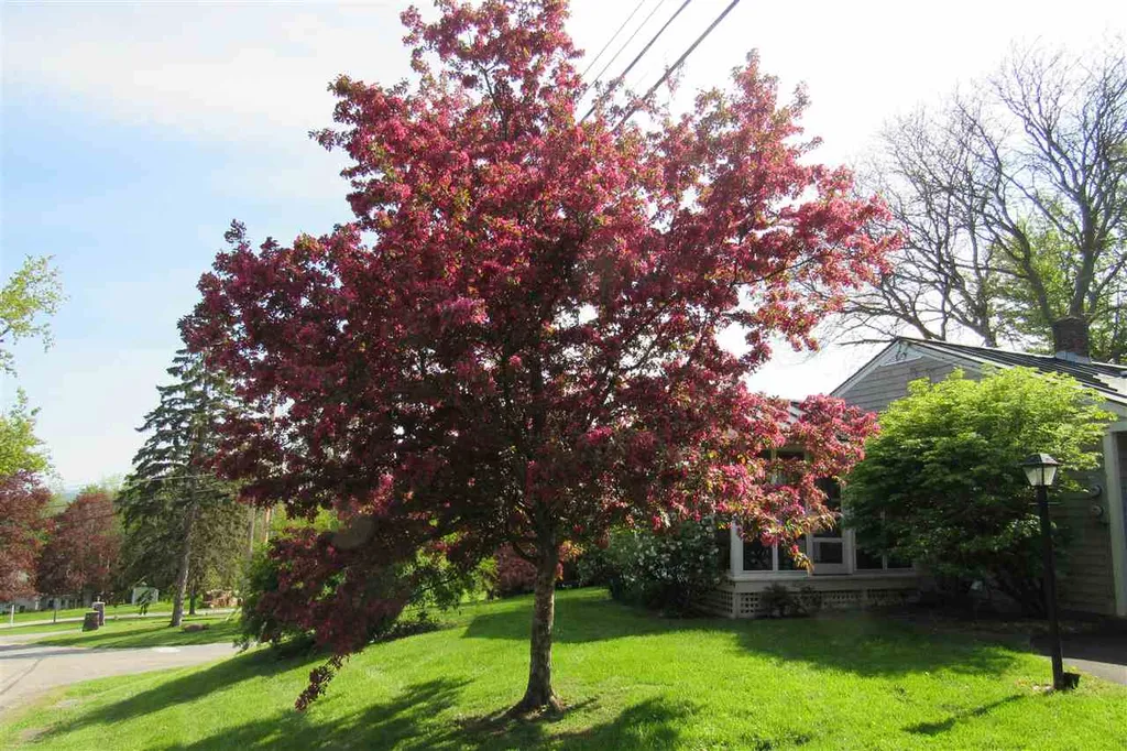 2 Chipman Heights Middlebury VT 05753