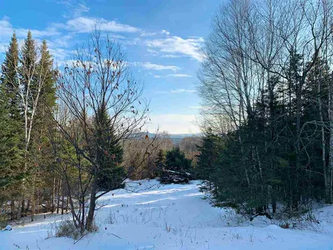 719 Ha'penny Road Peacham VT 05862