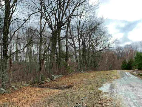 719 Ha'penny Road Peacham VT 05862