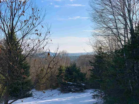 719 Ha'penny Road Peacham VT 05862