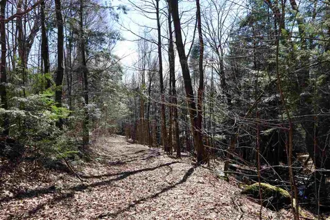 1299 Mathewson Hill Road Lyndon VT 05851