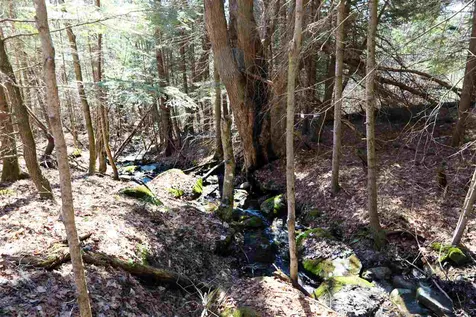 1299 Mathewson Hill Road Lyndon VT 05851