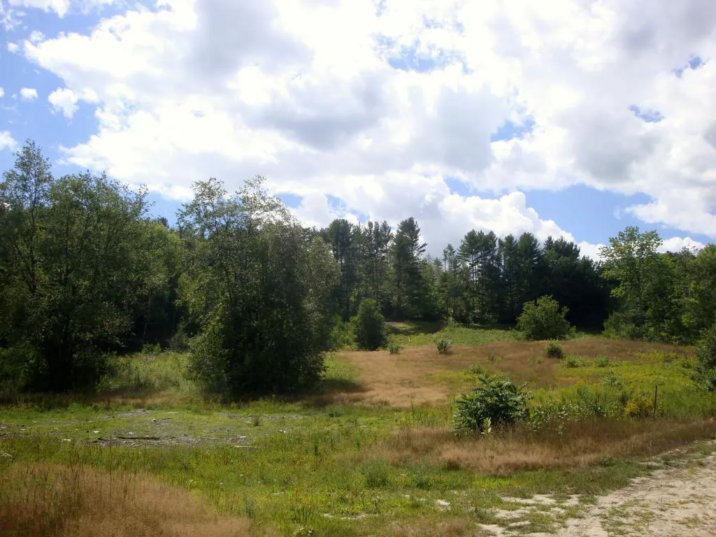 490 Washburn Road Alexandria NH 03222