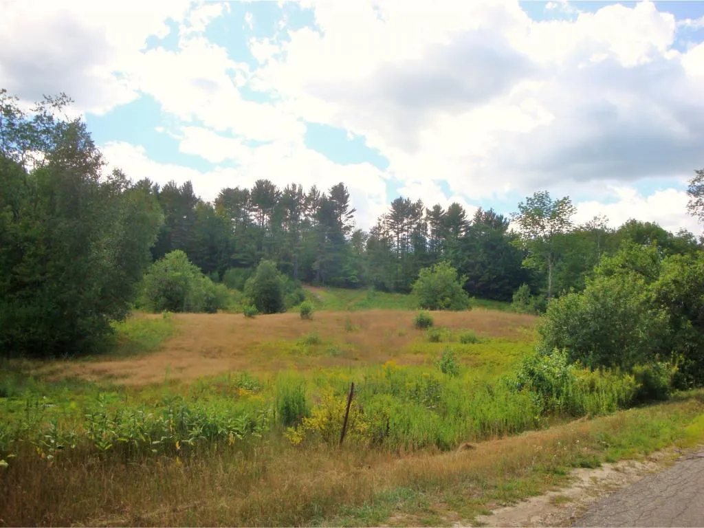 490 Washburn Road Alexandria NH 03222