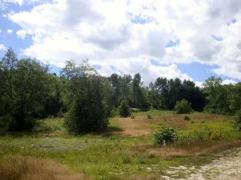 490 Washburn Road Alexandria NH 03222