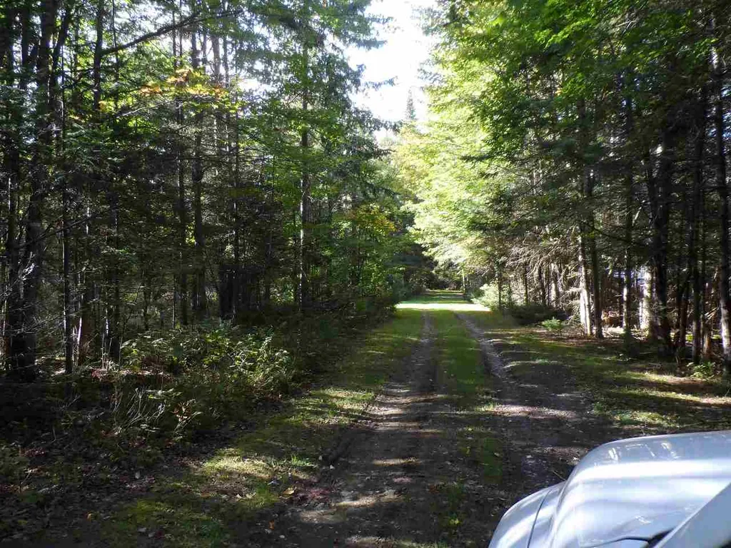 Moose Trail Road Clarksville NH 03592