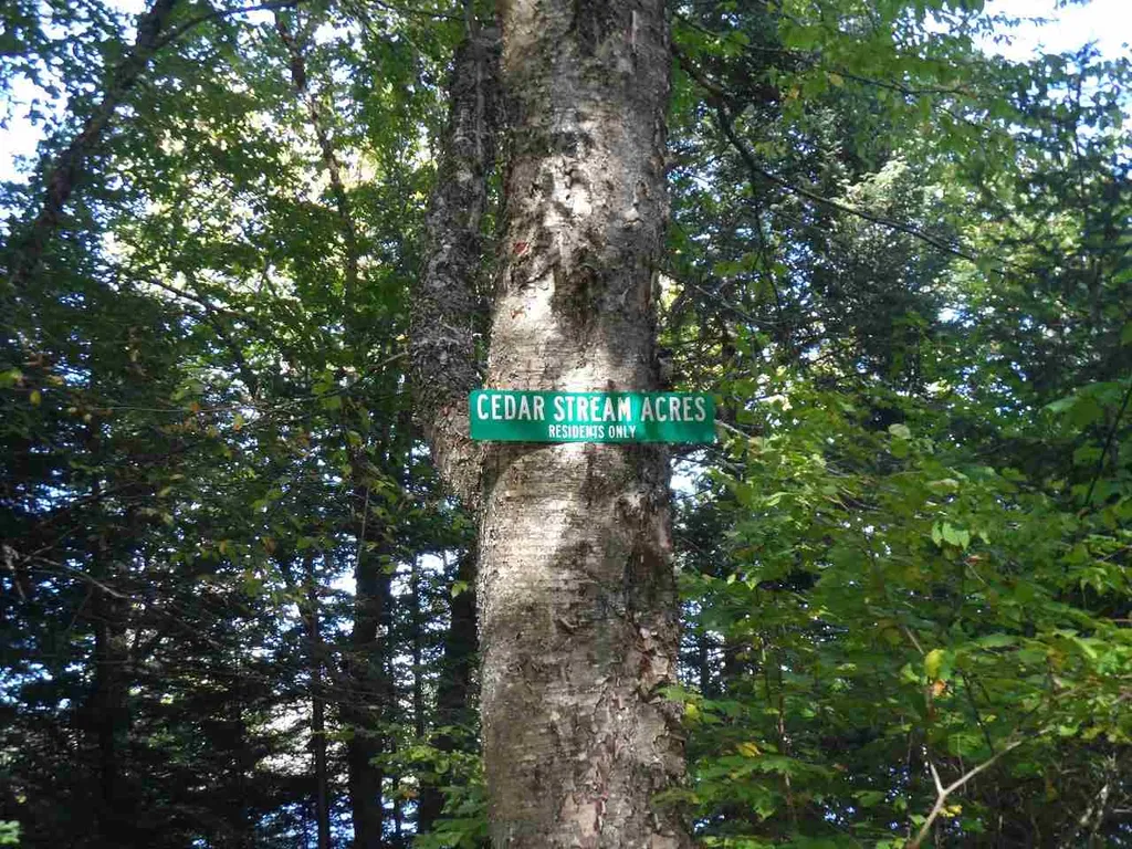 Moose Trail Road Clarksville NH 03592
