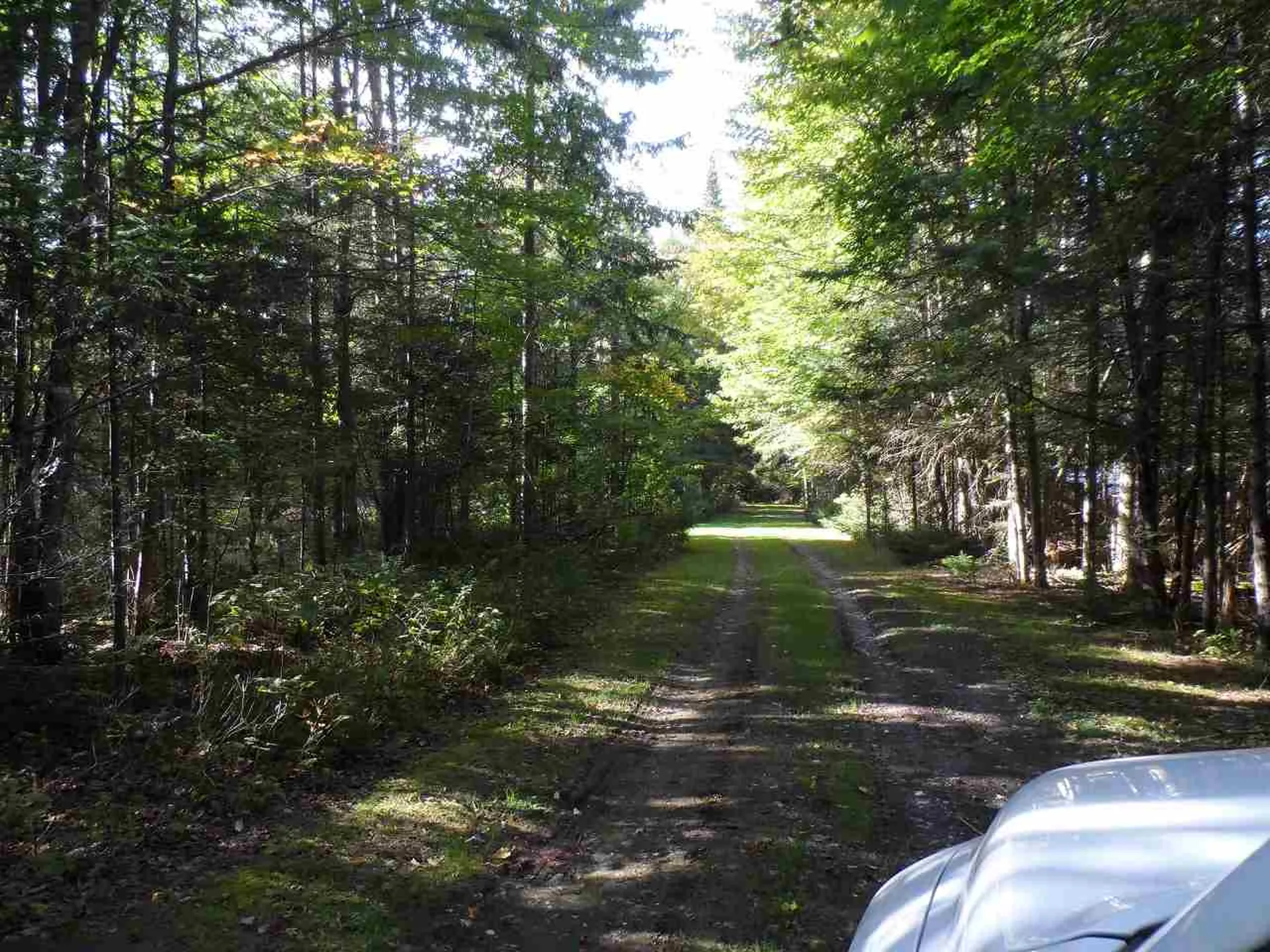 Moose Trail Road Clarksville NH 03592