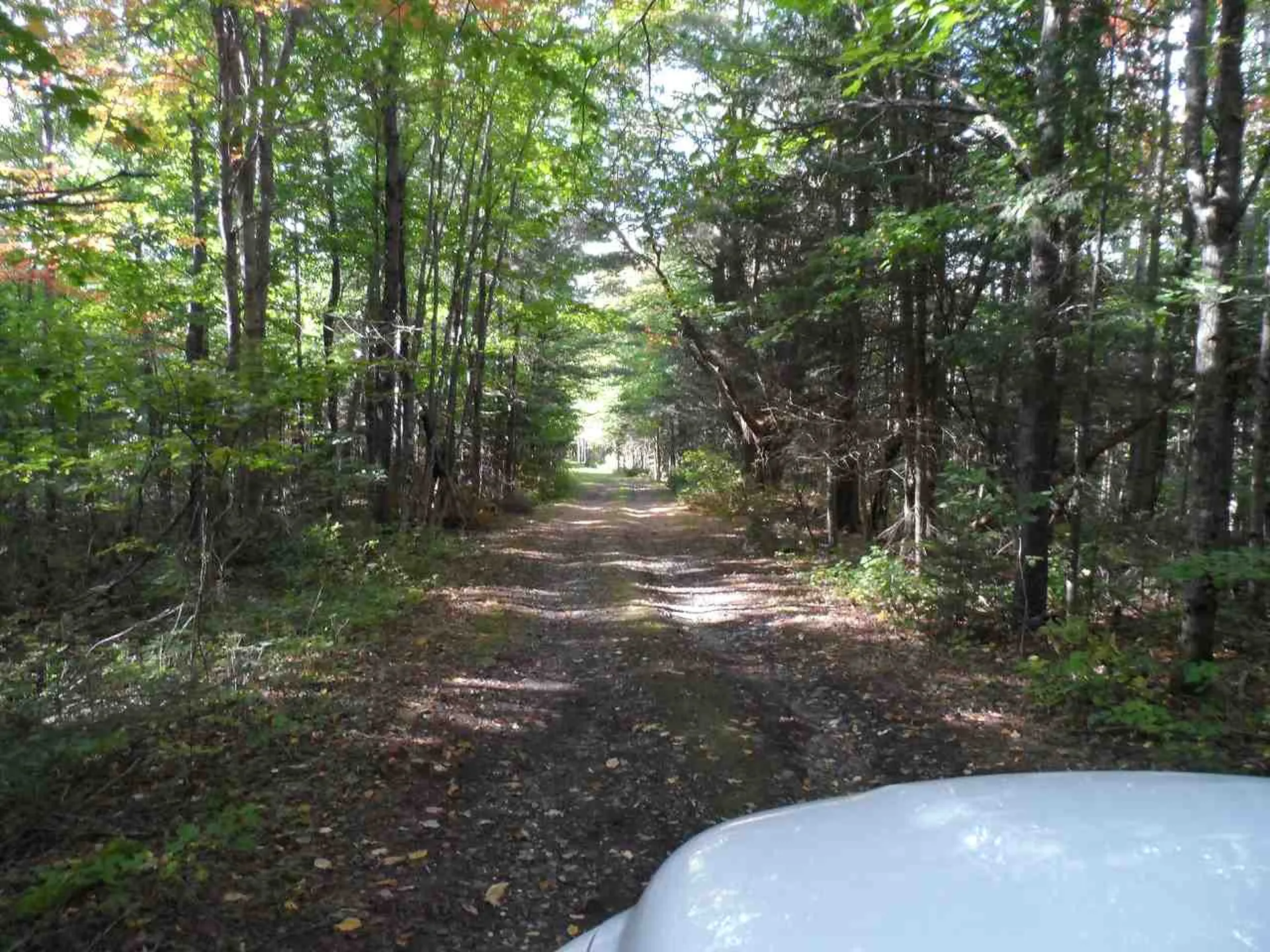 Moose Trail Road Clarksville NH 03592