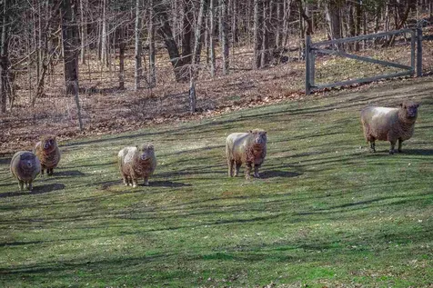 81 Old Settlers Road Alstead NH 03602