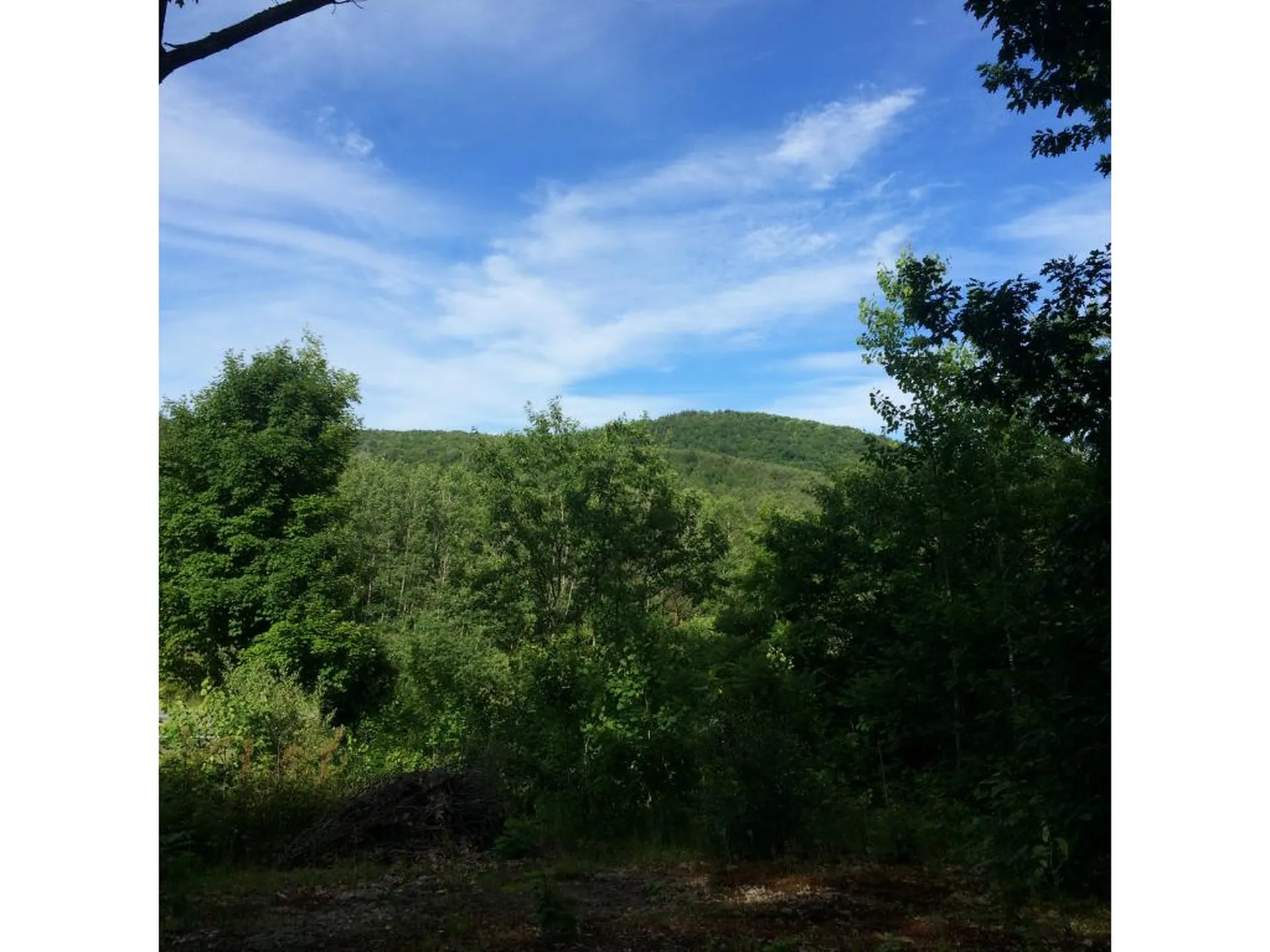 000 Vt Route 103 Rockingham VT 05101