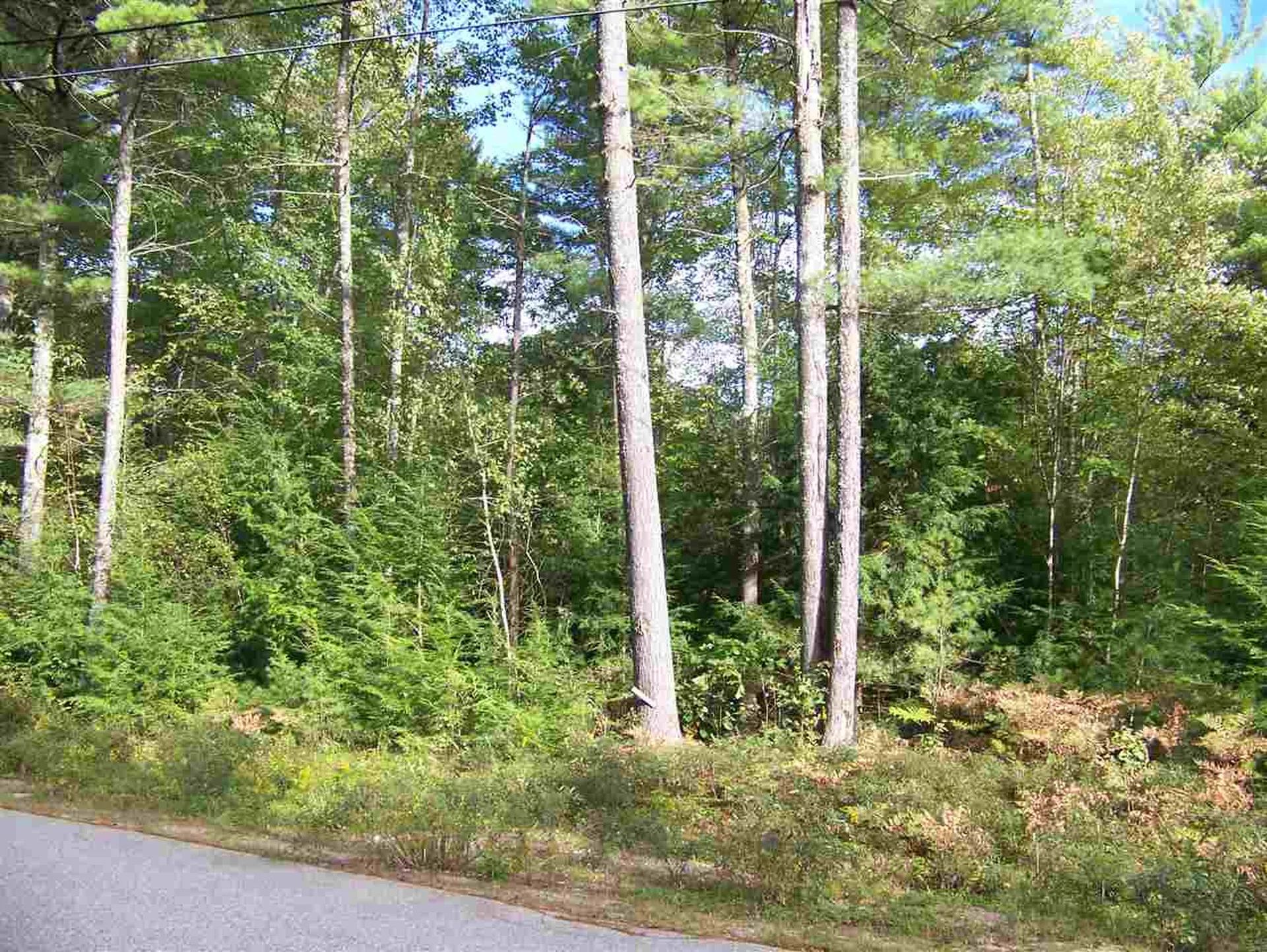 5 Roberts Road Brookfield NH 03872