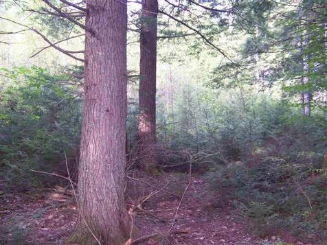 5 Roberts Road Brookfield NH 03872