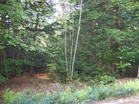 5 Roberts Road Brookfield NH 03872