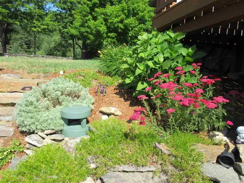 200 Whitney Road Springfield VT 05156