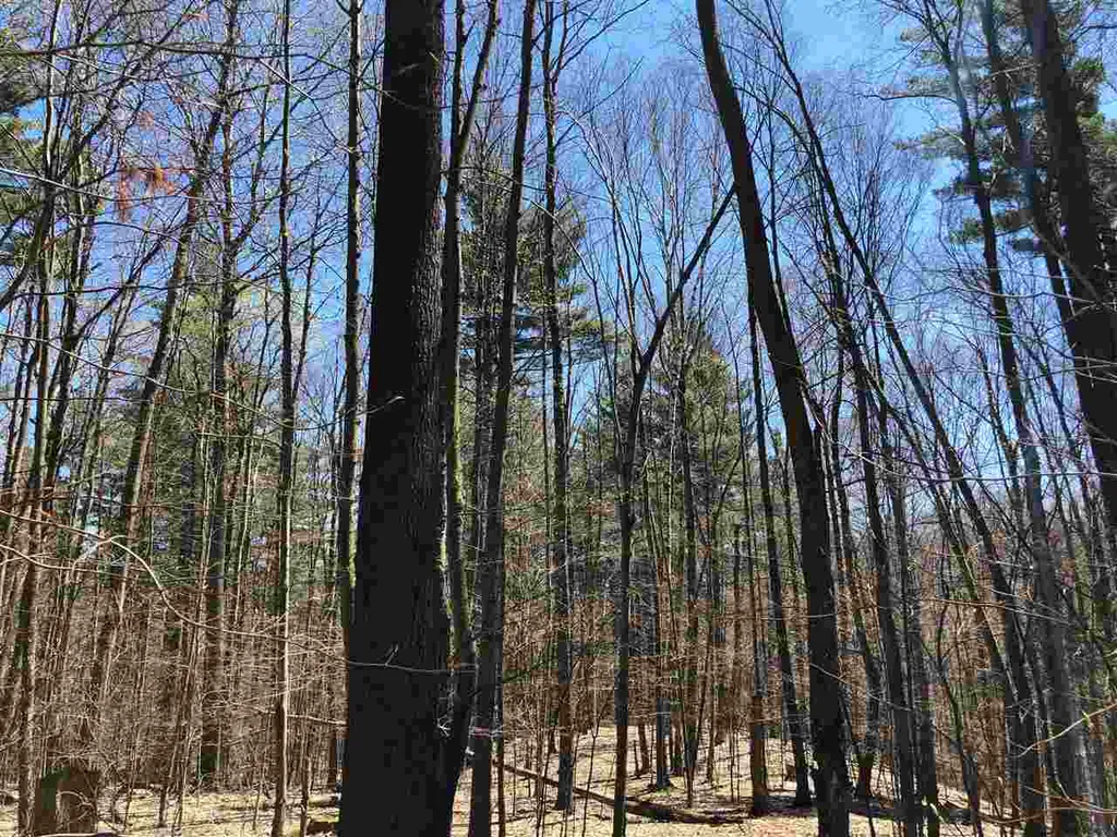 0 Shepherd Lane Arlington VT 05250
