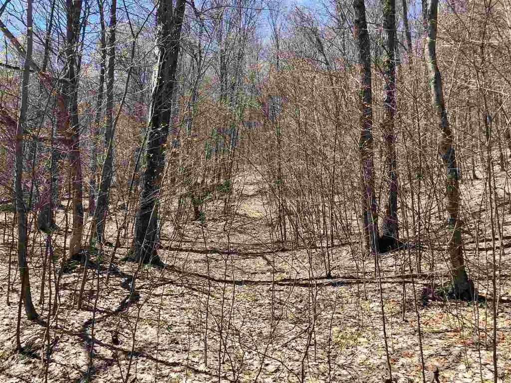 0 Shepherd Lane Arlington VT 05250
