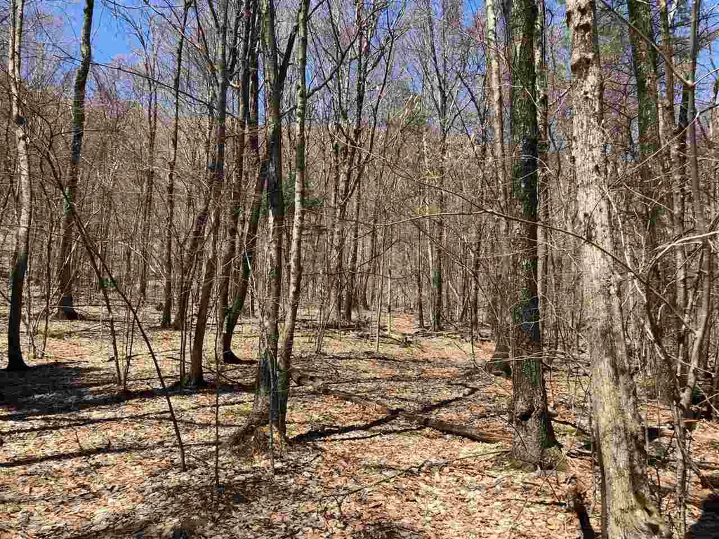 0 Shepherd Lane Arlington VT 05250