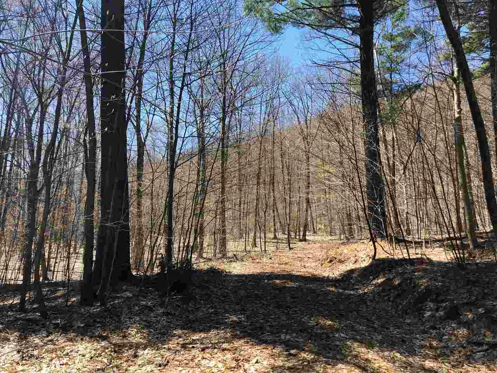 0 Shepherd Lane Arlington VT 05250