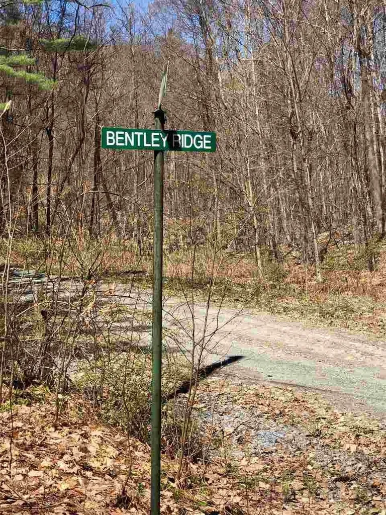 0 Shepherd Lane Arlington VT 05250