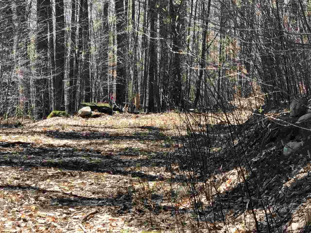 0 Shepherd Lane Arlington VT 05250