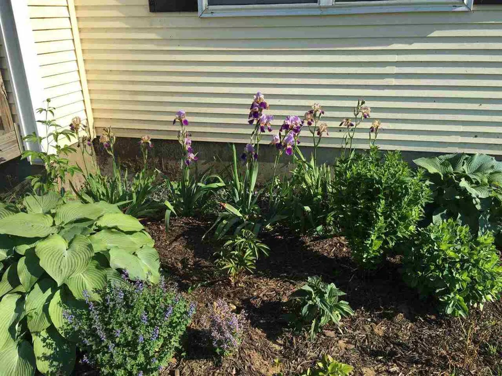 311 Plains Road Westford VT 05494