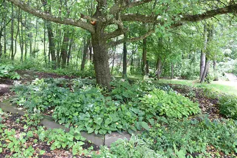 59 Pine Tree Lane Richmond VT 05477