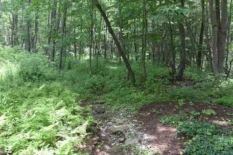 59 Pine Tree Lane Richmond VT 05477