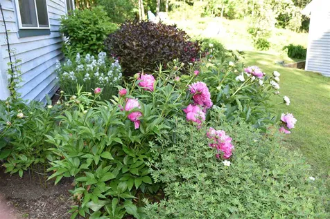 59 Pine Tree Lane Richmond VT 05477