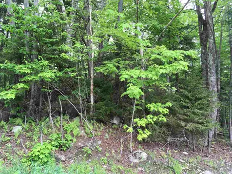 419 Shincracker Way Wilmington VT 05363