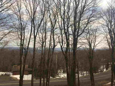 419 Shincracker Way Wilmington VT 05363