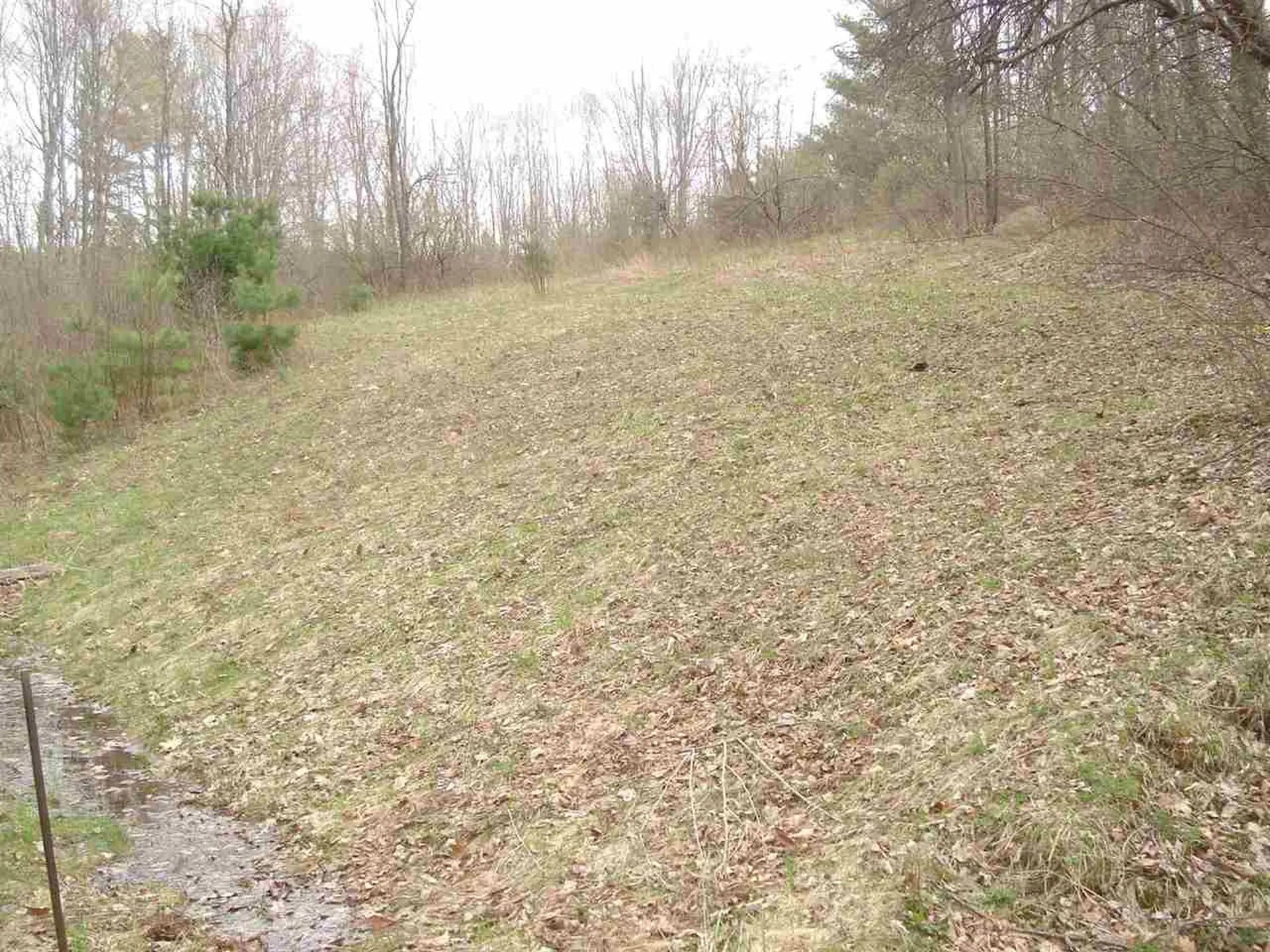 87 Davidson Hill Road Chester VT 05143