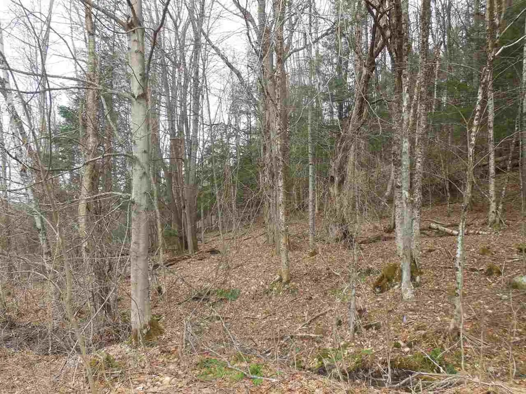 00 Fulton Lane Barton VT 05822