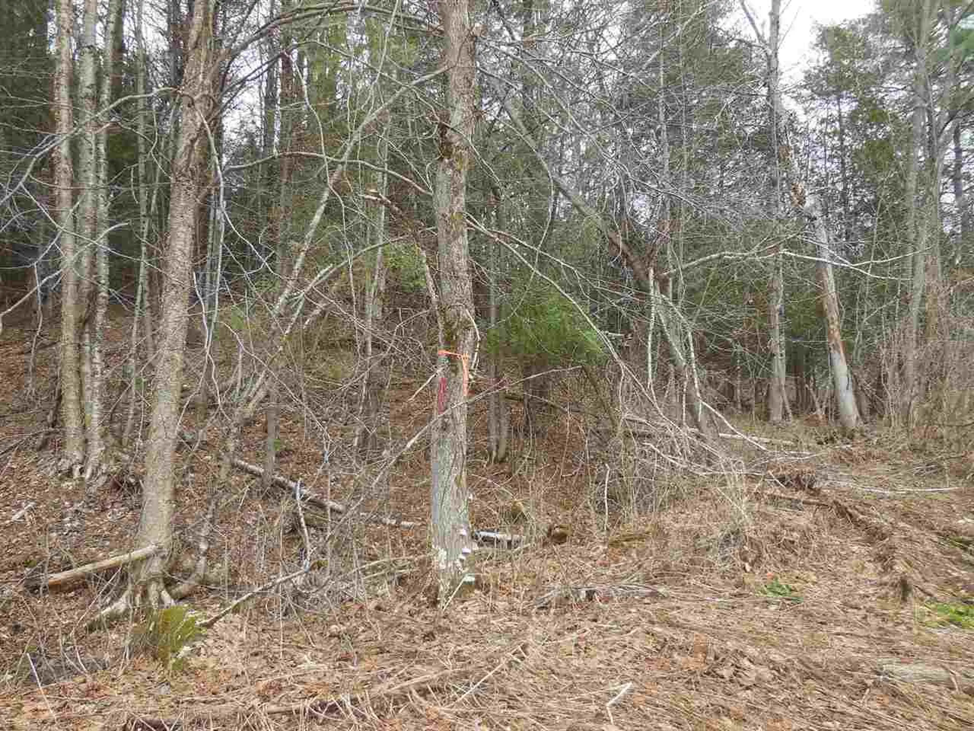 00 Fulton Lane Barton VT 05822