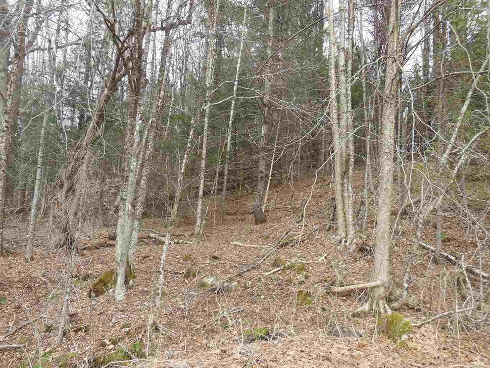 00 Fulton Lane Barton VT 05822