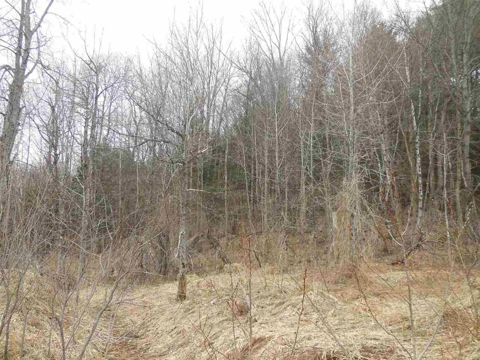 00 Fulton Lane Barton VT 05822