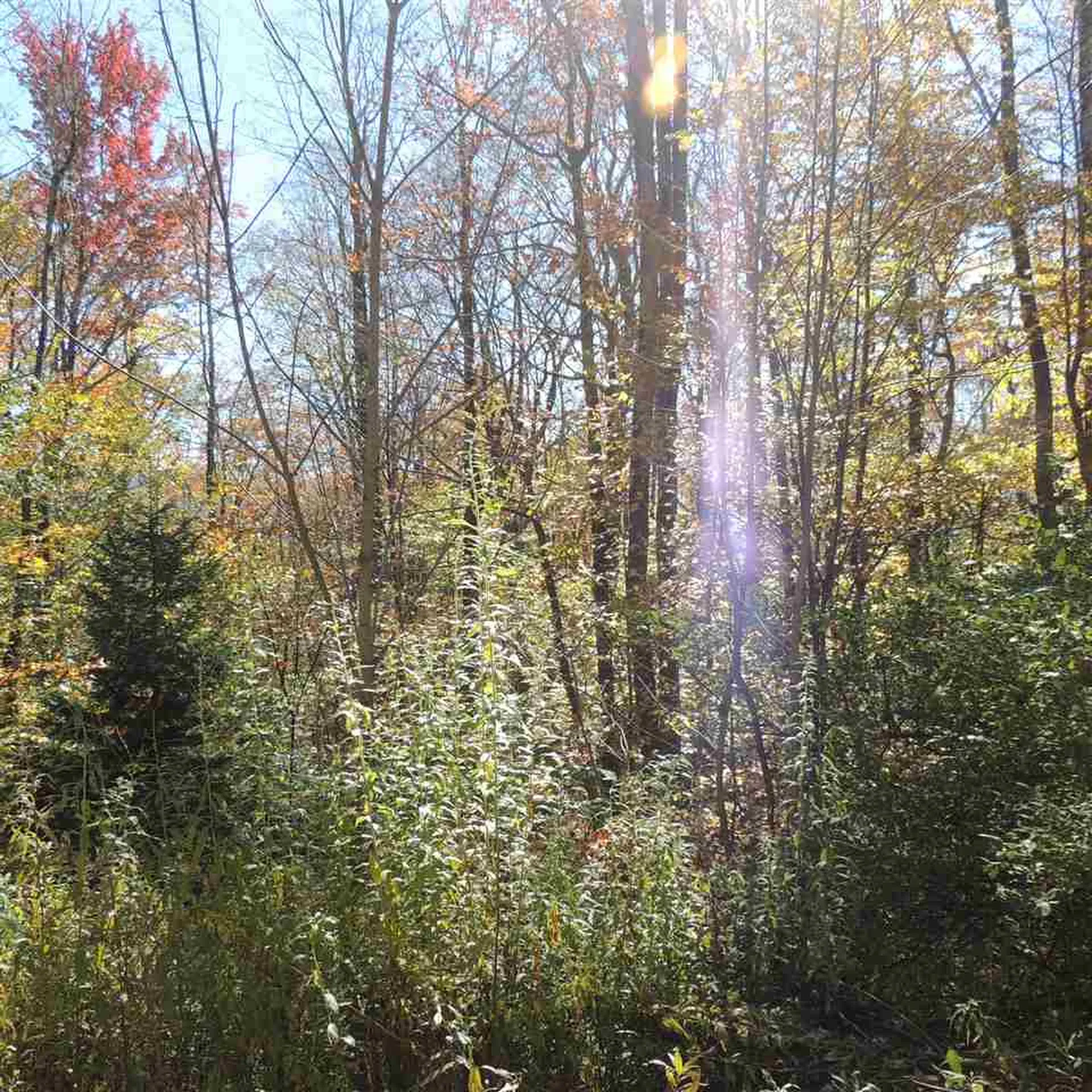 6-377 Bergrucken Lane Stamford VT 05352