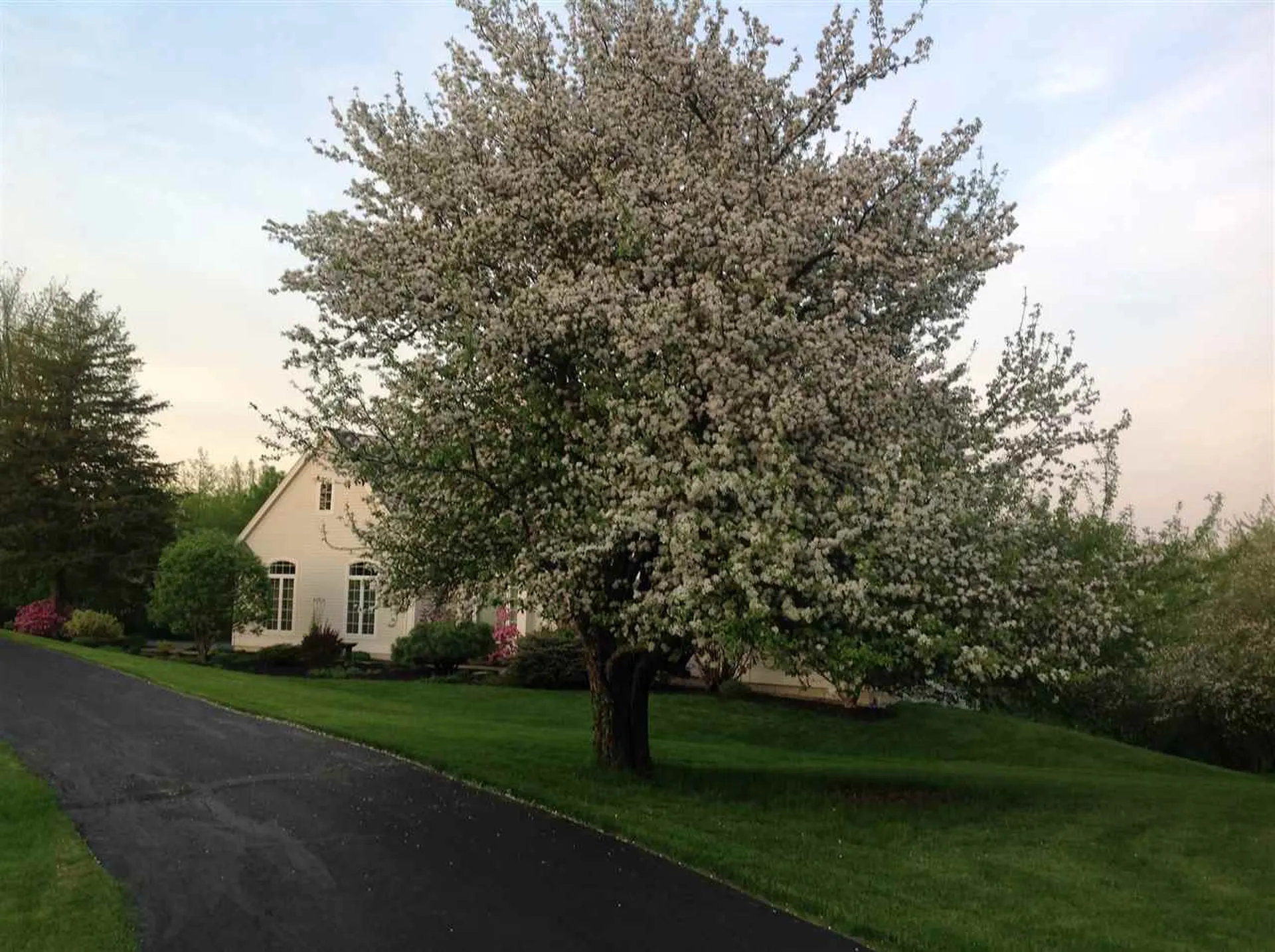 4601 Mount Philo Road Charlotte VT 05445