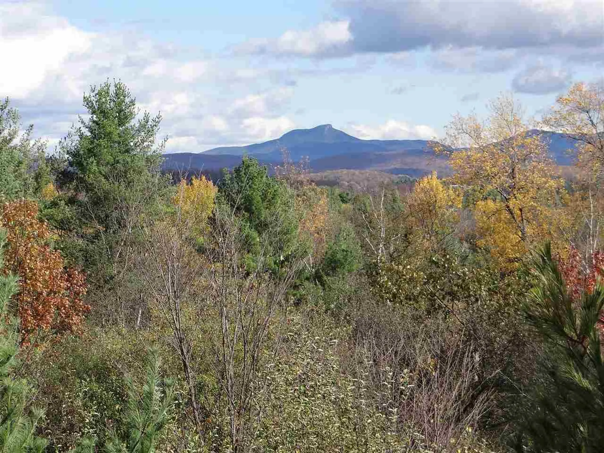 4601 Mount Philo Road Charlotte VT 05445