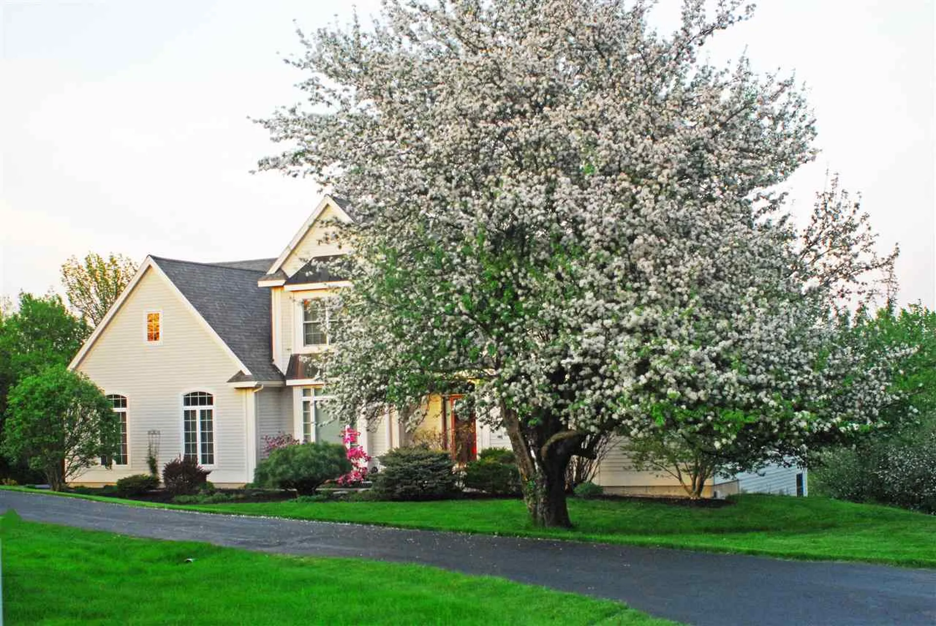 4601 Mount Philo Road Charlotte VT 05445