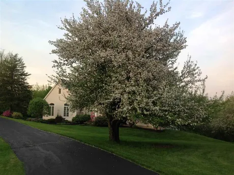4601 Mount Philo Road Charlotte VT 05445