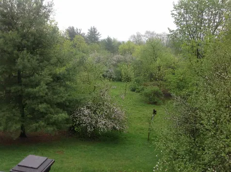 4601 Mount Philo Road Charlotte VT 05445