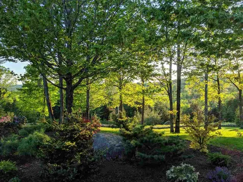 606 Wilmot Center Road New London NH 03257